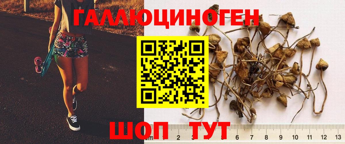 Псилоцибиновые грибы Magic Shrooms  Галлюциногенные грибы Psilocybe  Добрянка  Вход с VPN 